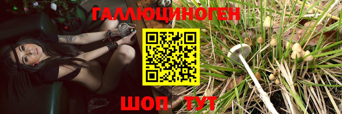Галлюциногенные грибы прущие грибы Белгород
